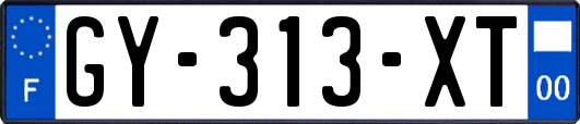 GY-313-XT