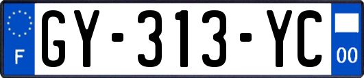 GY-313-YC