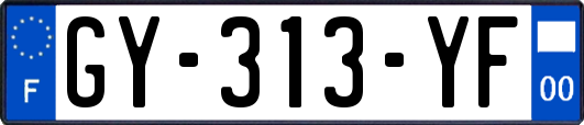 GY-313-YF