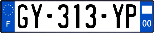 GY-313-YP
