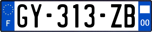 GY-313-ZB