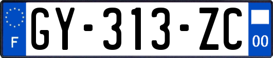 GY-313-ZC