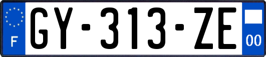 GY-313-ZE