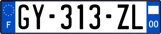GY-313-ZL