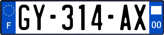 GY-314-AX