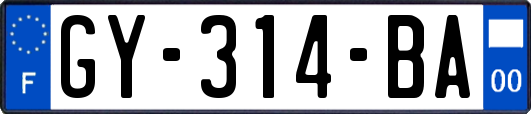 GY-314-BA