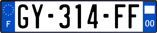 GY-314-FF