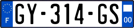 GY-314-GS