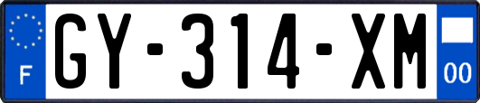 GY-314-XM