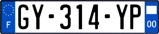 GY-314-YP