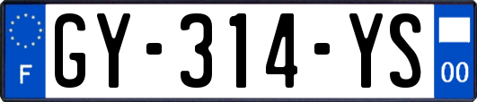 GY-314-YS