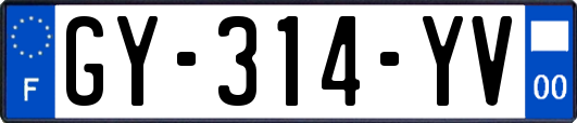 GY-314-YV