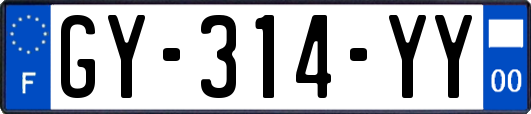 GY-314-YY