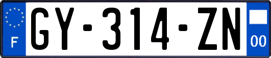 GY-314-ZN