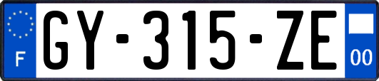 GY-315-ZE