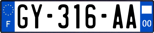 GY-316-AA