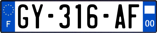 GY-316-AF