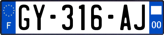 GY-316-AJ