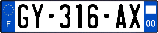 GY-316-AX