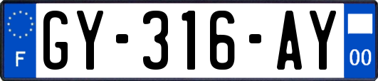 GY-316-AY