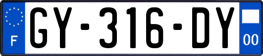 GY-316-DY