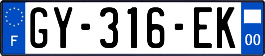 GY-316-EK