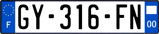GY-316-FN