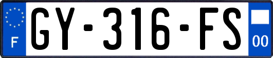 GY-316-FS