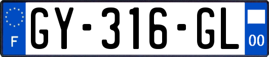 GY-316-GL