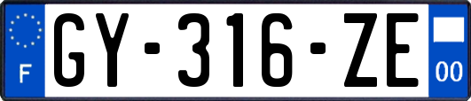 GY-316-ZE