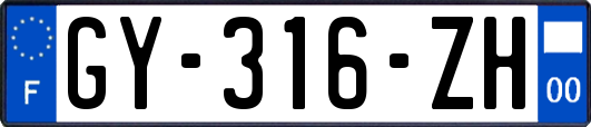 GY-316-ZH