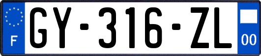 GY-316-ZL