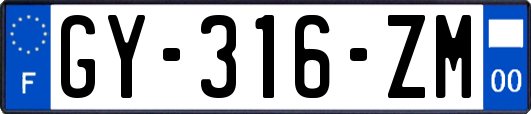 GY-316-ZM