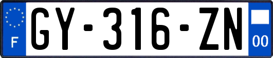 GY-316-ZN