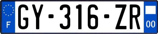 GY-316-ZR