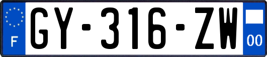 GY-316-ZW