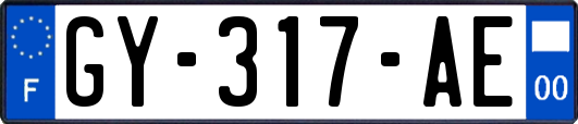 GY-317-AE