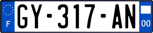 GY-317-AN