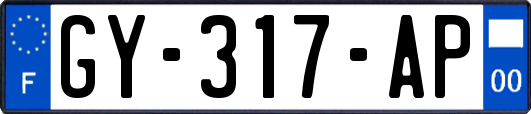 GY-317-AP