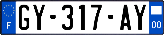 GY-317-AY