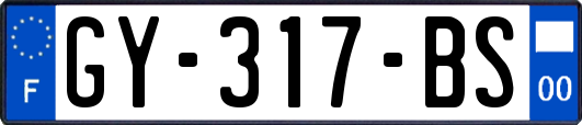 GY-317-BS
