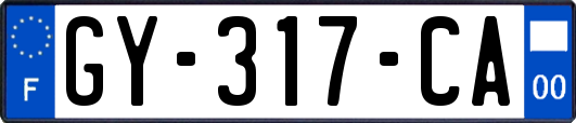 GY-317-CA
