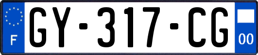 GY-317-CG