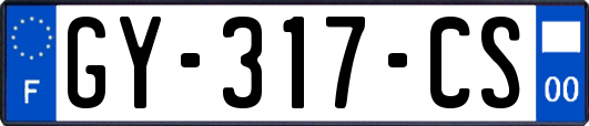 GY-317-CS