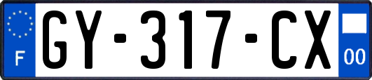 GY-317-CX
