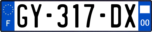 GY-317-DX