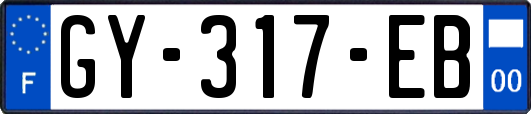 GY-317-EB