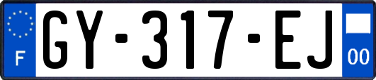 GY-317-EJ