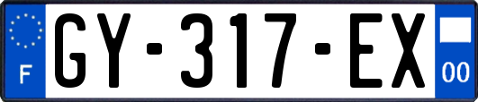 GY-317-EX