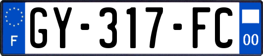GY-317-FC